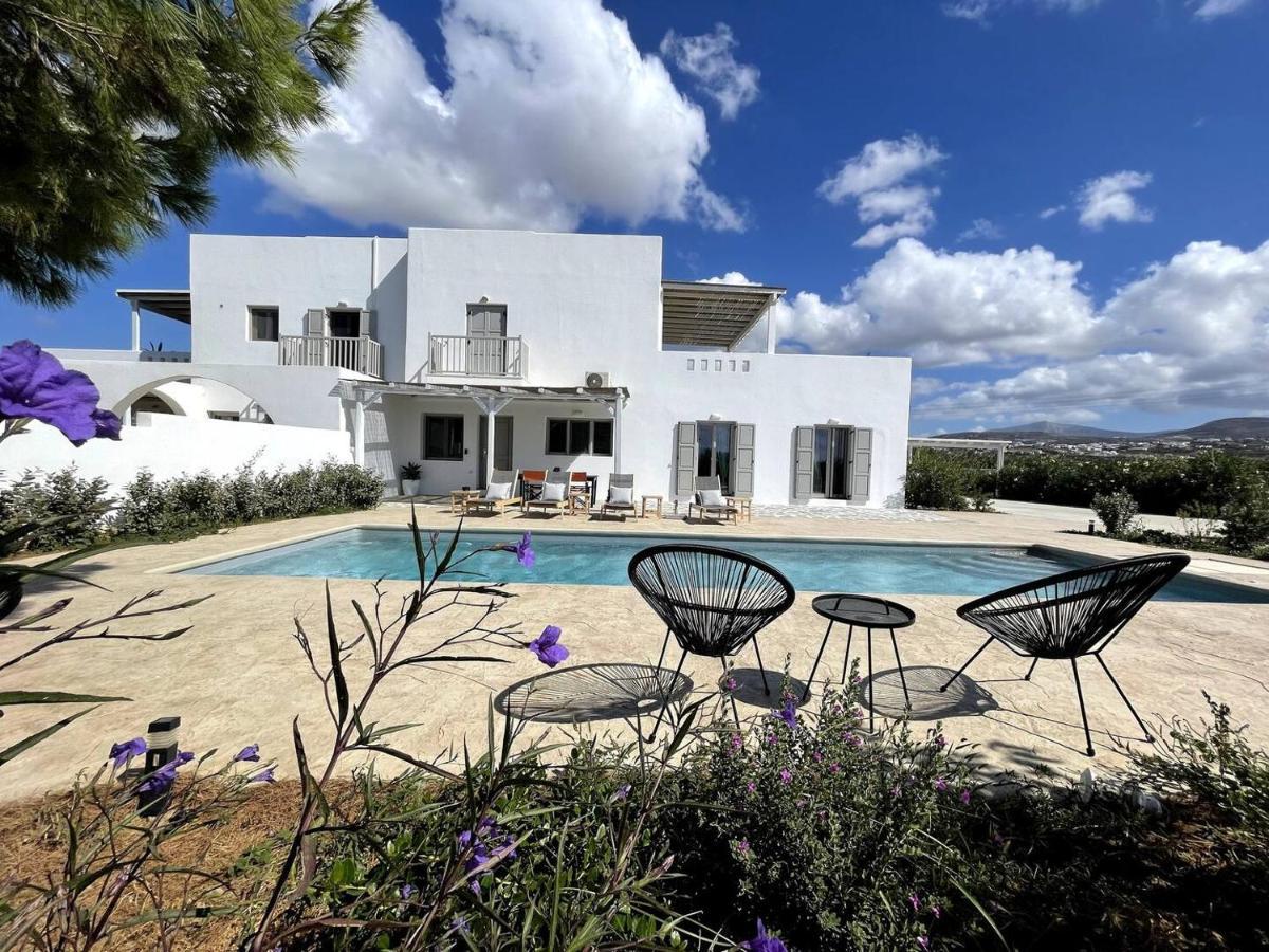 White Pearl Villa Naxos With Private Swimming Pool Naxos City Exterior photo